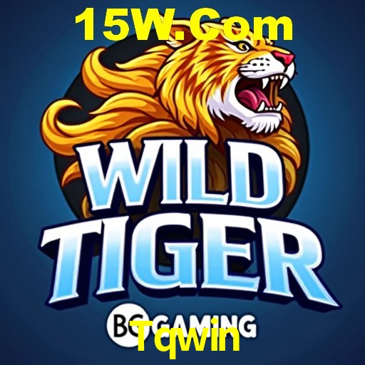 Estatísticas Esportivas Tqwin
