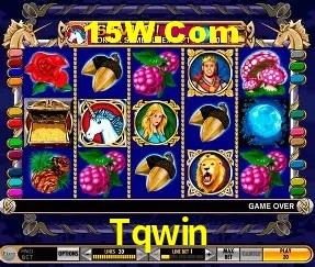 Estatísticas do Jogo Tqwin